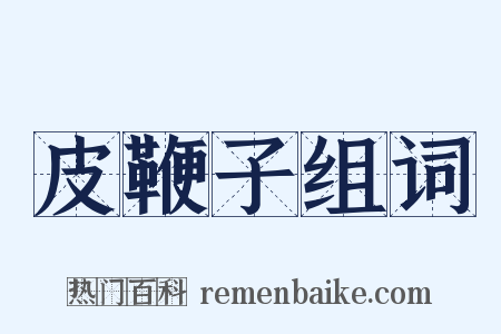 皮鞭子组词是什么意思的图片